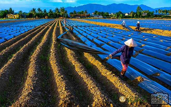 Finalist: NGUYEN VAN QUANG