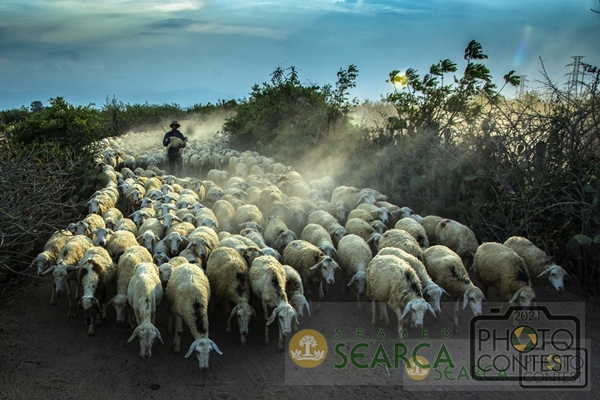 15th SEARCA Photo Contest (2021) - Finalist: TRAN VAN TUY, Vietnam