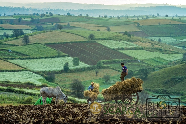 15th SEARCA Photo Contest (2021) - Finalist: HEINNHTET KYAW, Myanmar